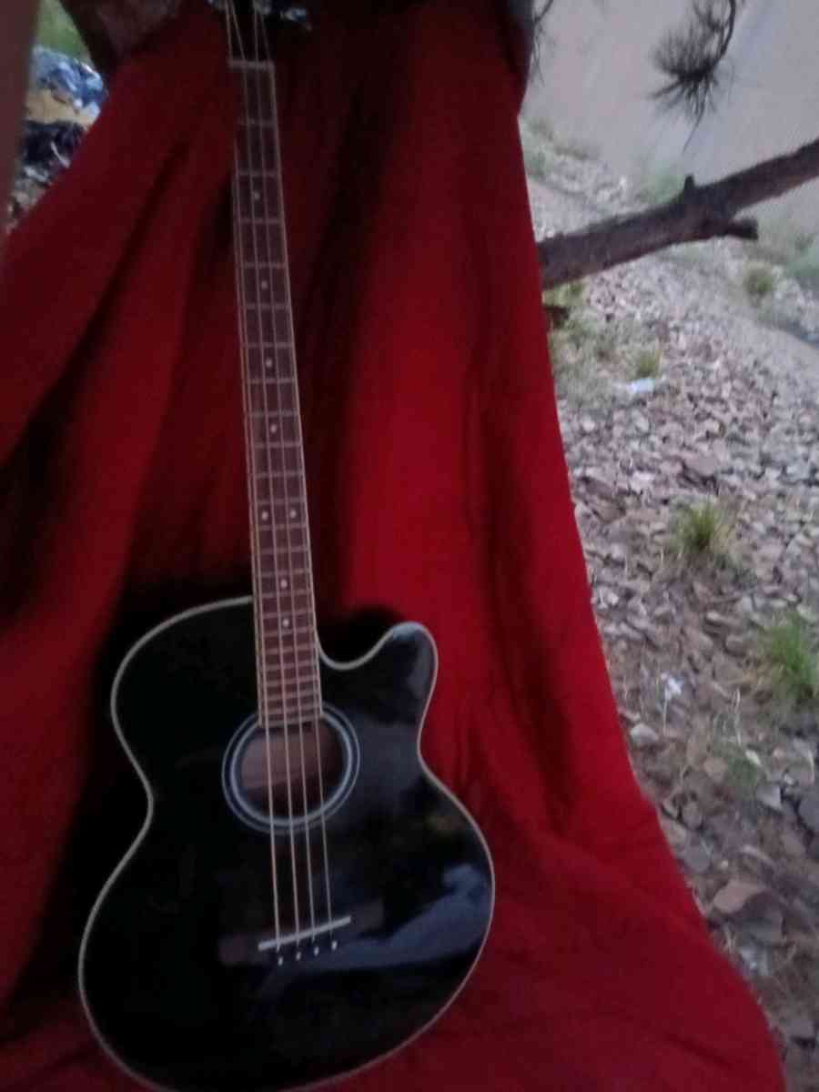 acoustic electric guitar bass