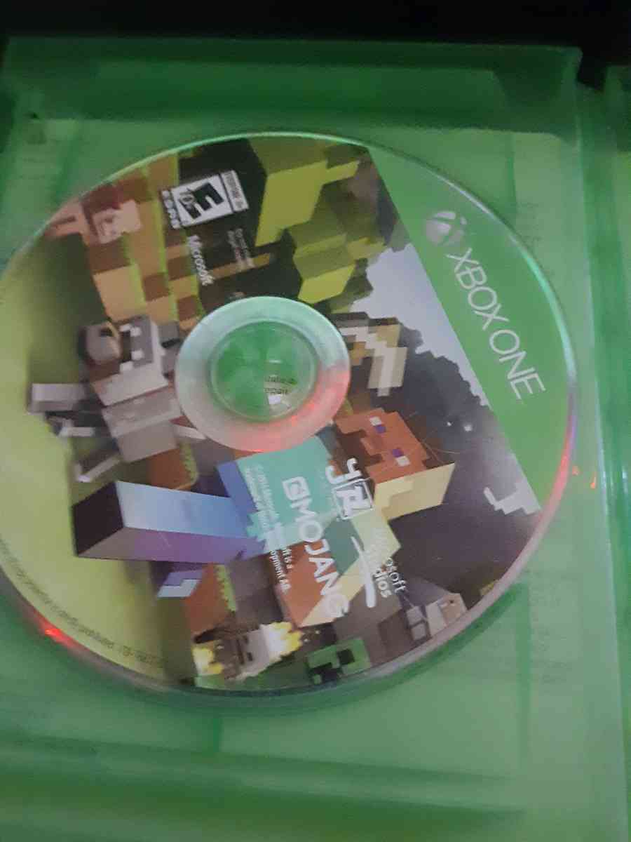 minecraft video game