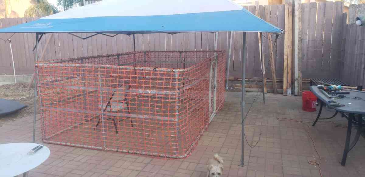 10x8x4ft tall dog kennel