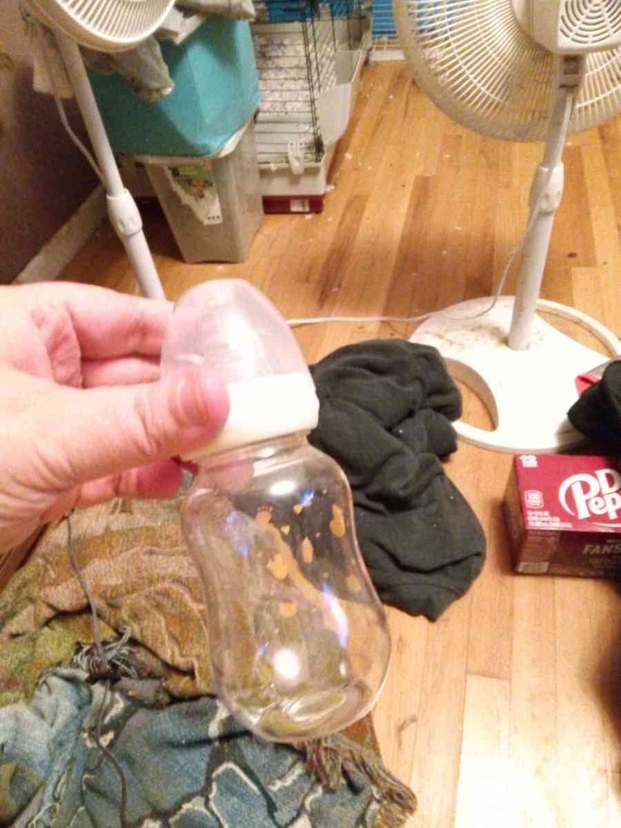 baby bottles