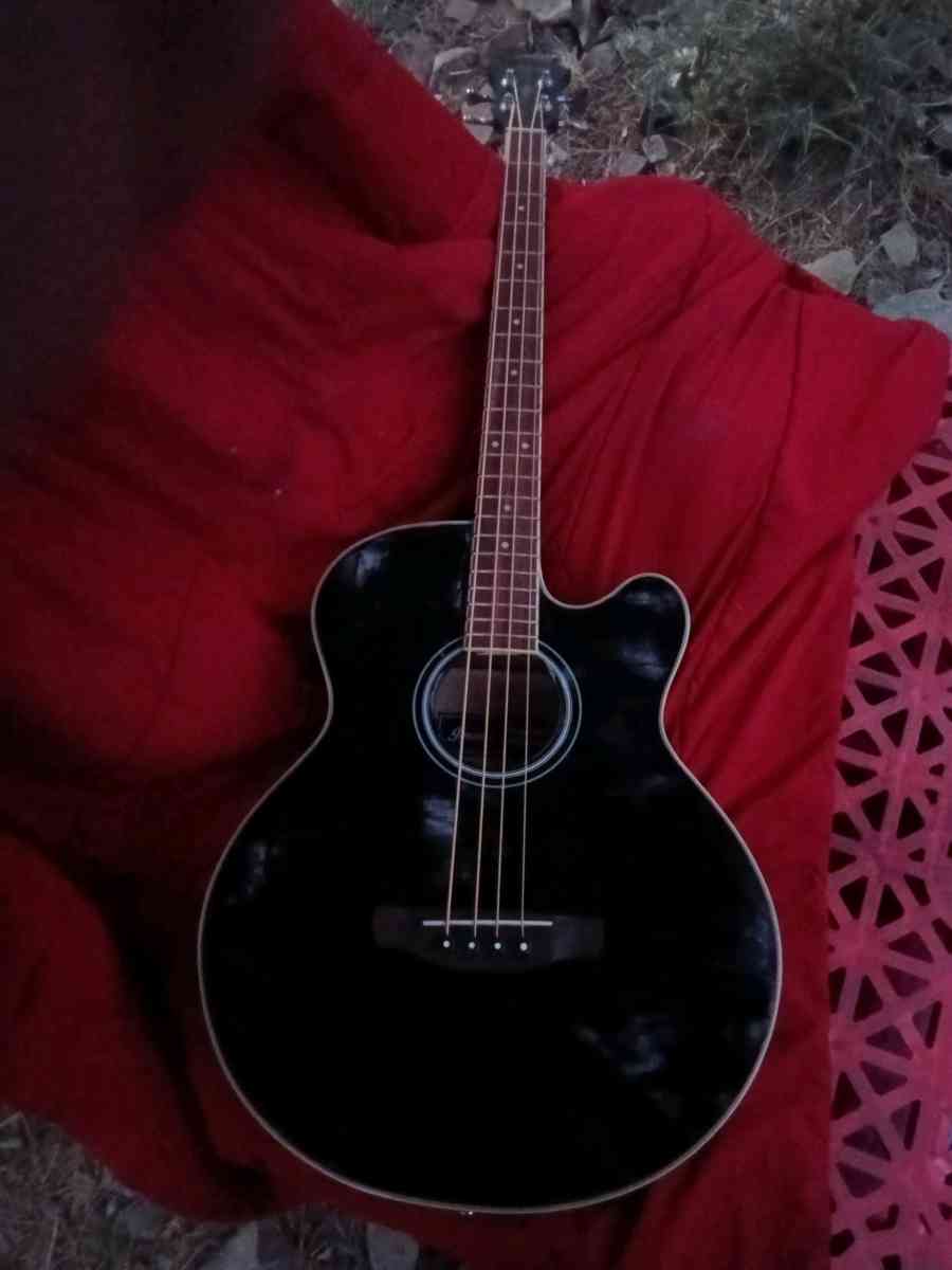 acoustic electric guitar bass