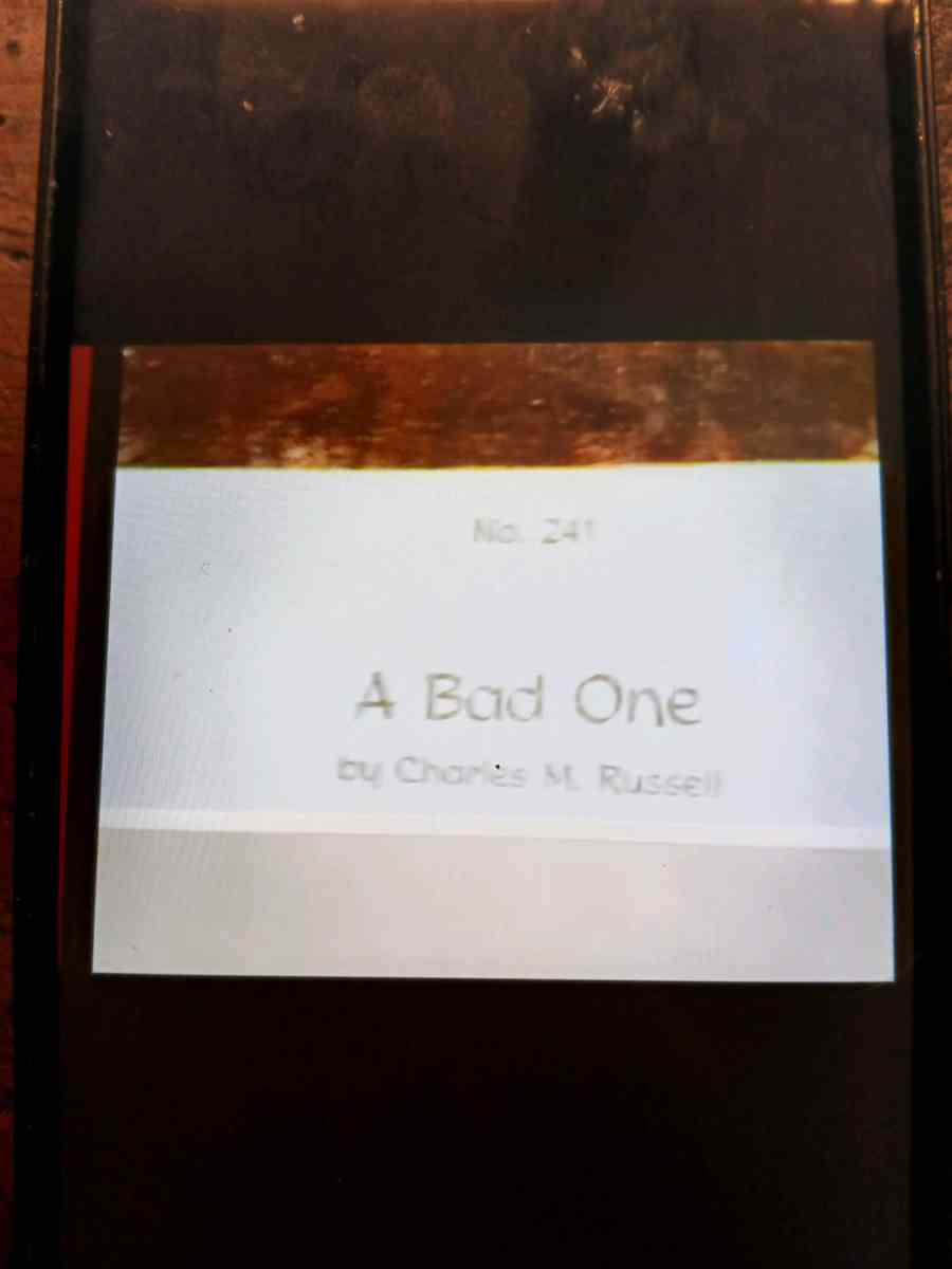 Framed Western Prints