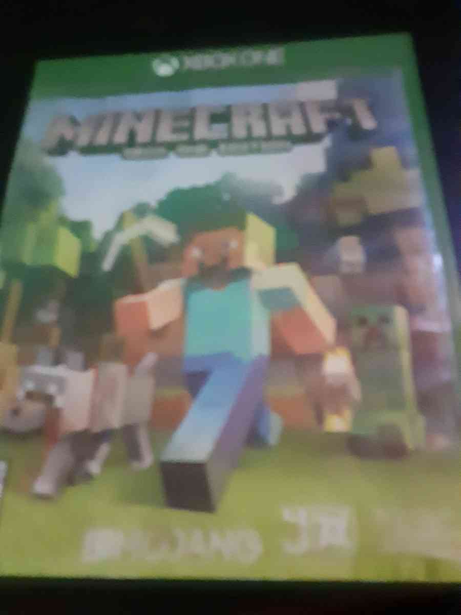 minecraft video game
