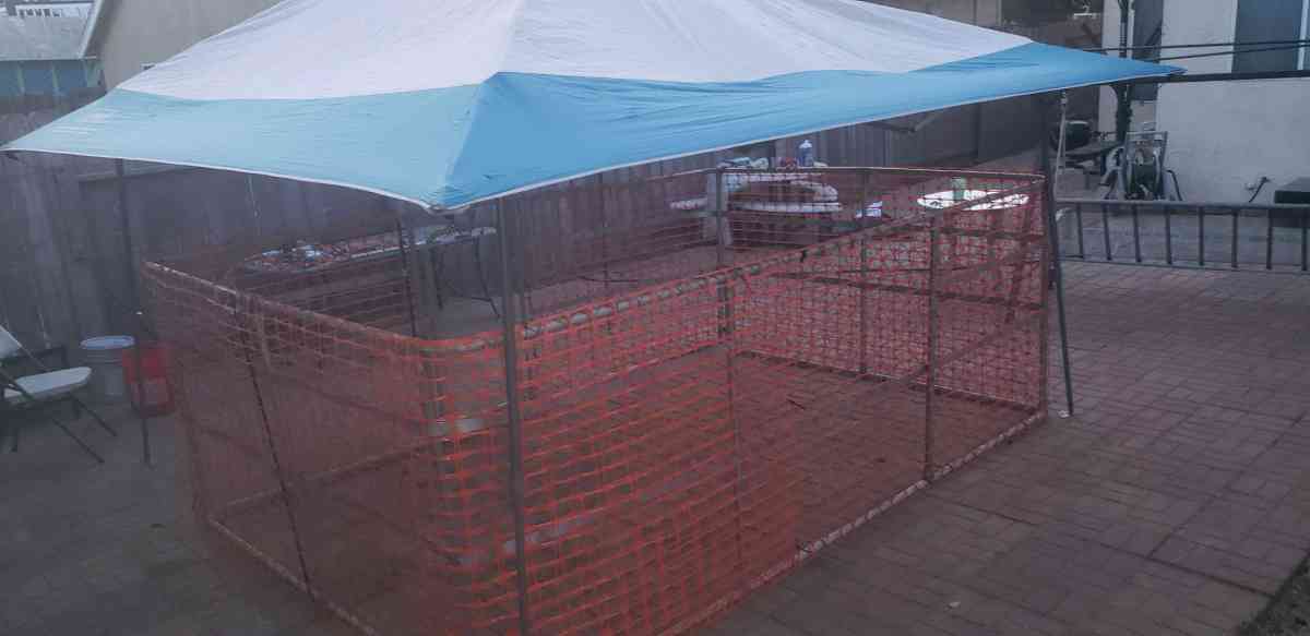 10x8x4ft tall dog kennel