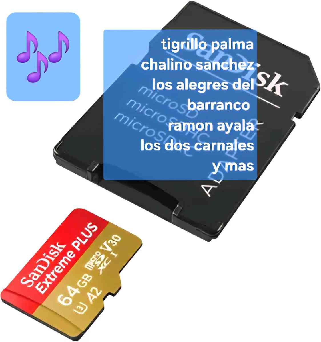 sd card Musica