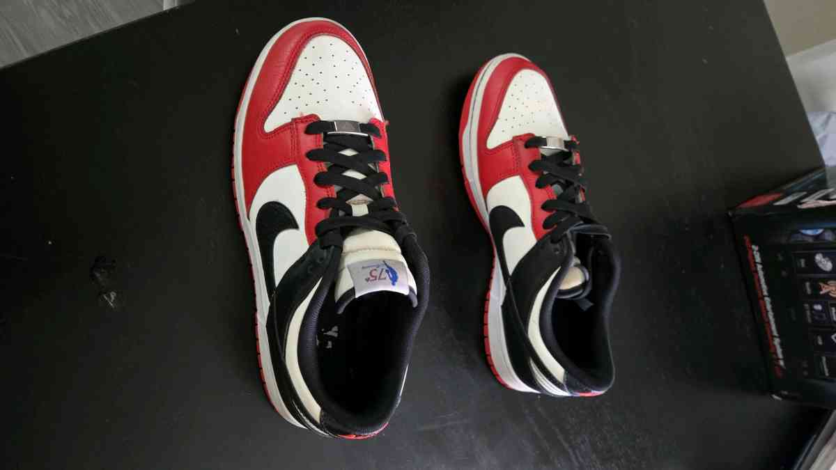 Dunk low chicago size 9