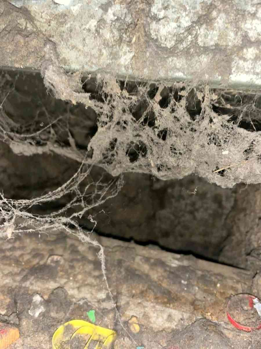 Duct Vent and Dryer Vent Cleaning Services