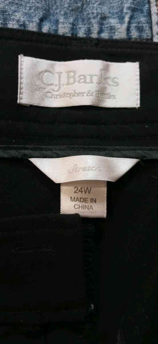 Womens Plus Size Dress Slacks 24