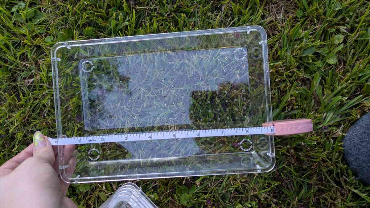 clear organizer trays