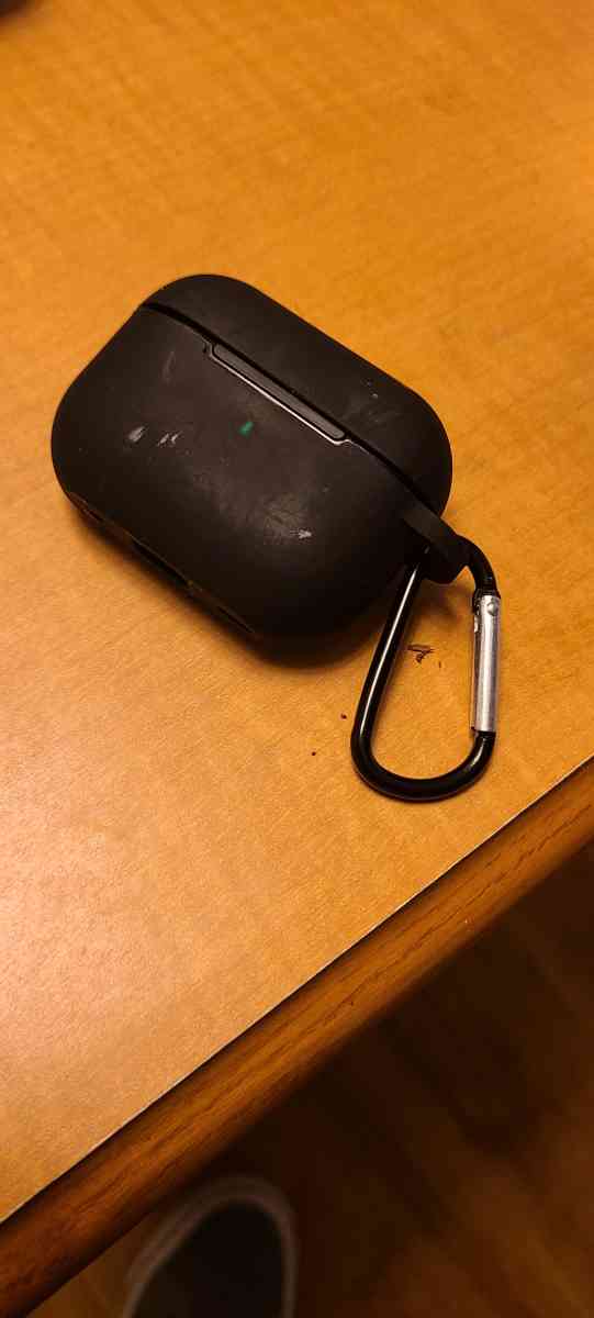 pro buds v2 blackcase