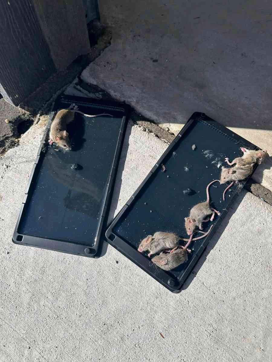 duct and vent cleaning September special discount