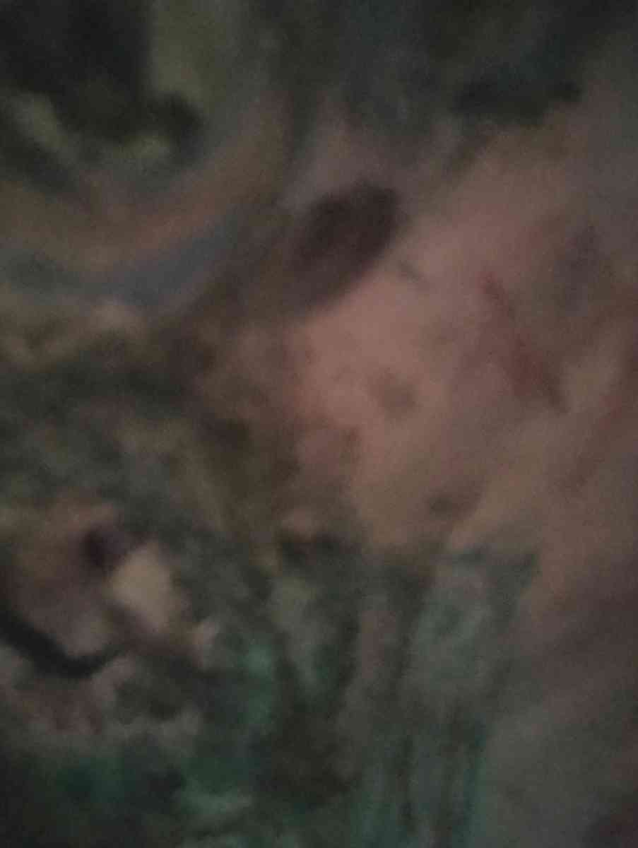 looking for art supplies