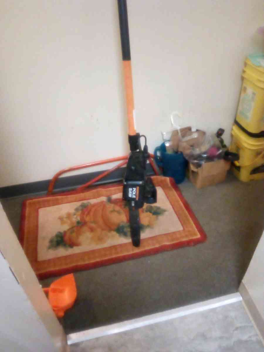Remington pole saw