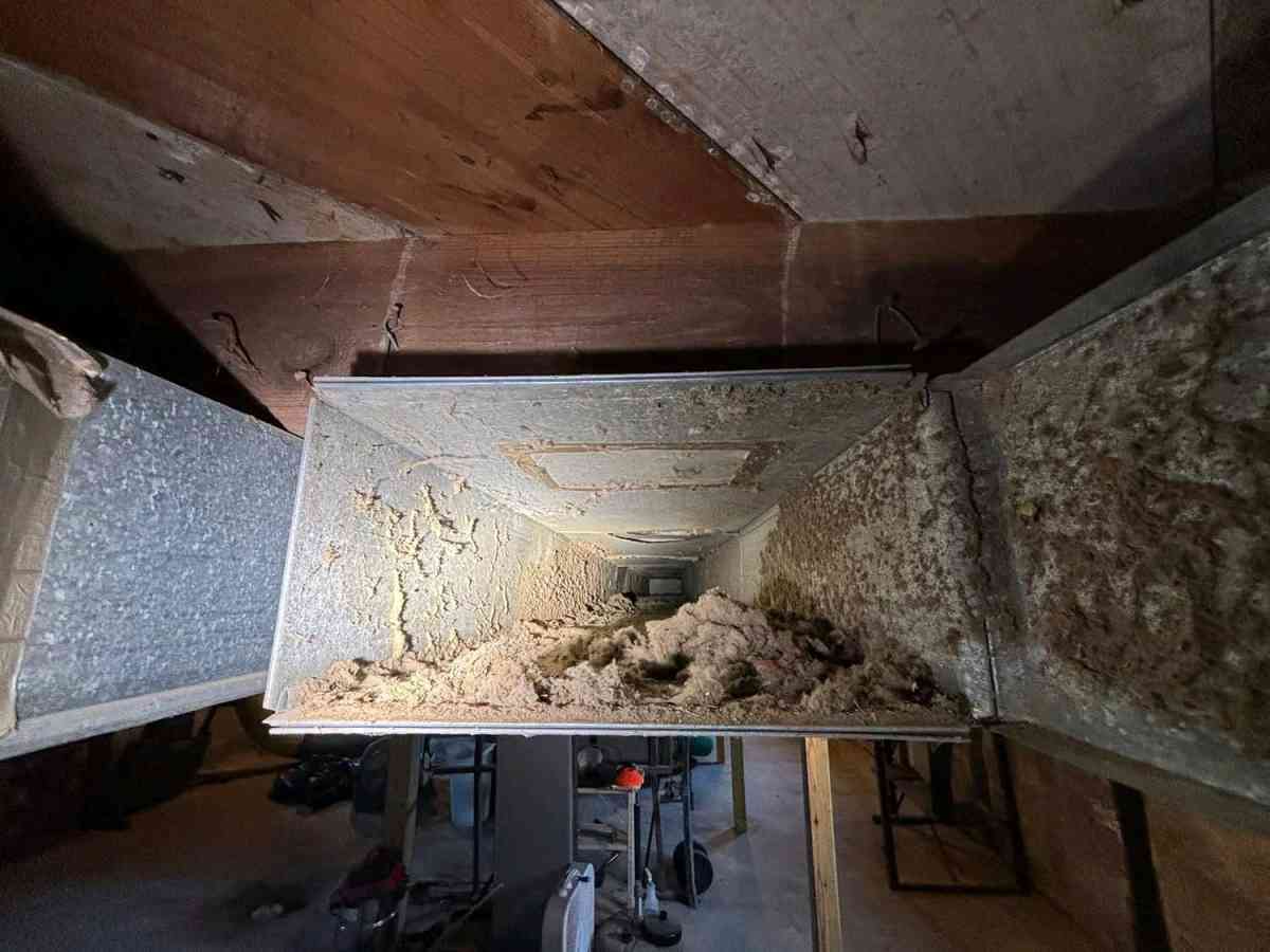 duct and vent cleaning September special discount