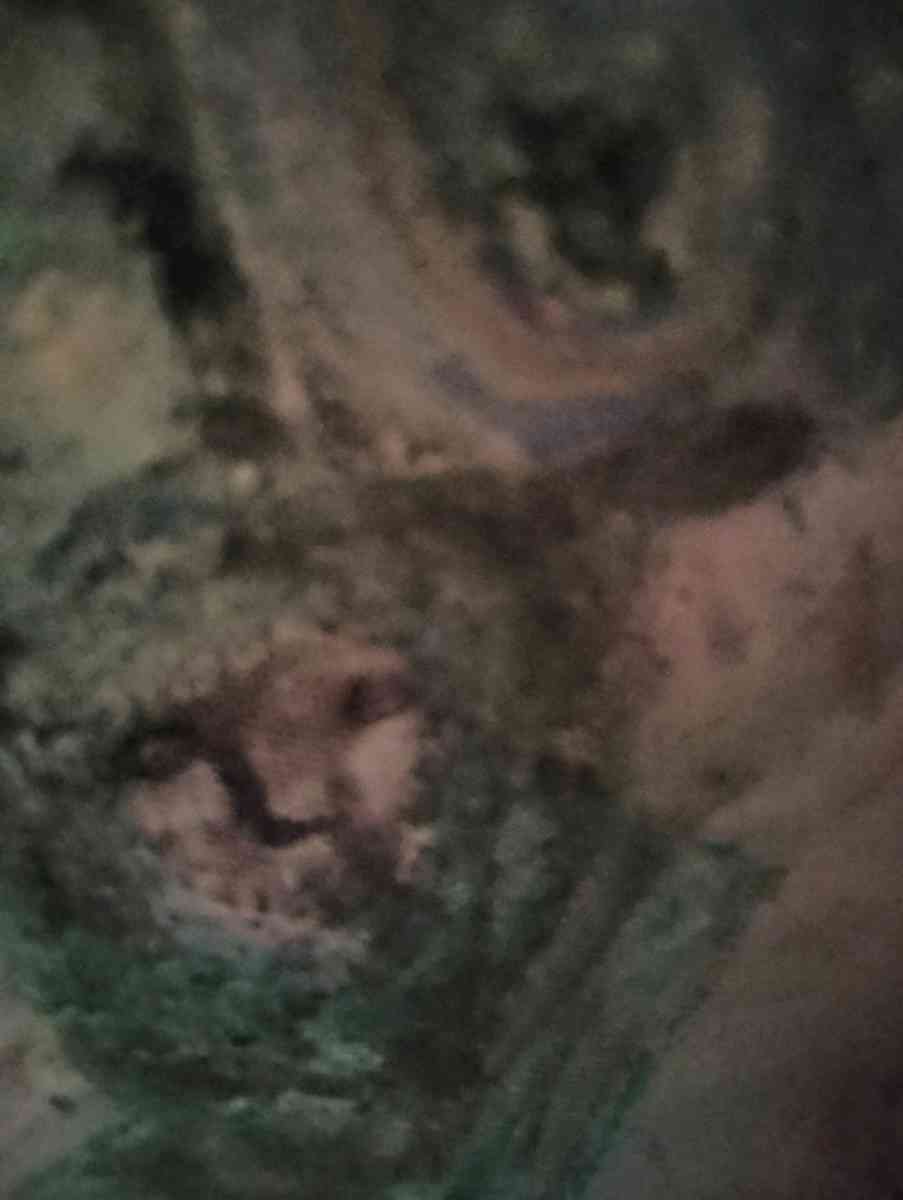 looking for art supplies