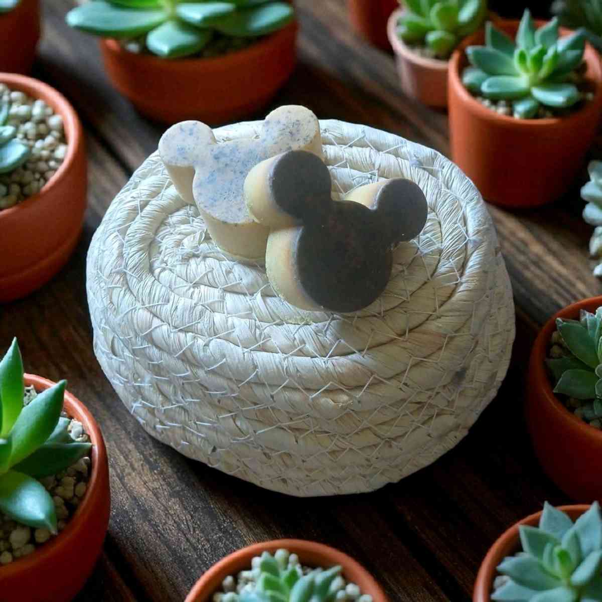 Tumeric and Ginger Soap Samples