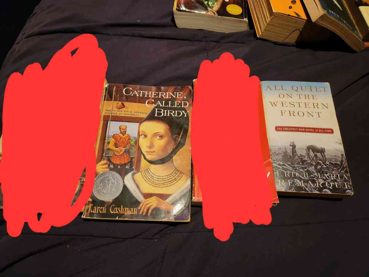 nonfiction and fiction books