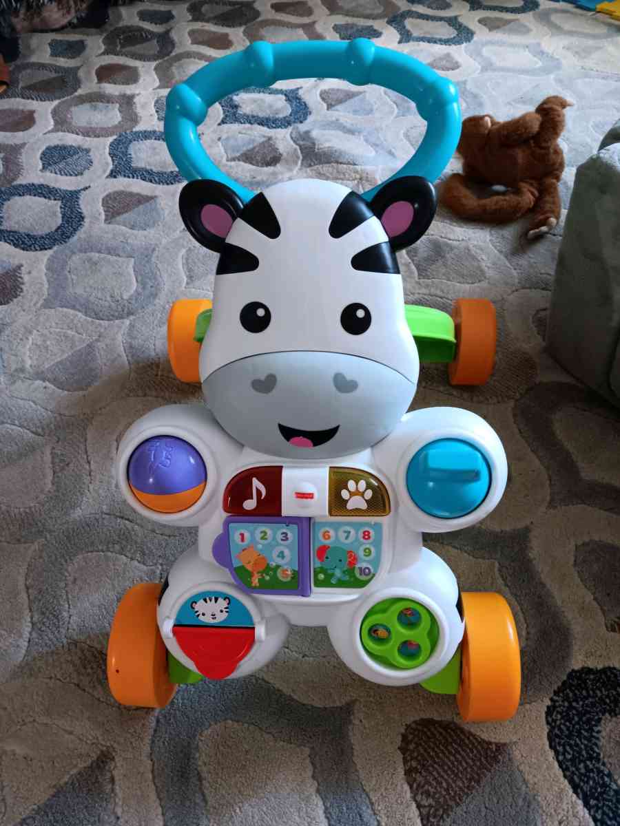 Zebra push walker