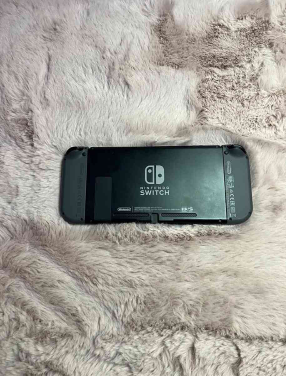 Nintendo switch