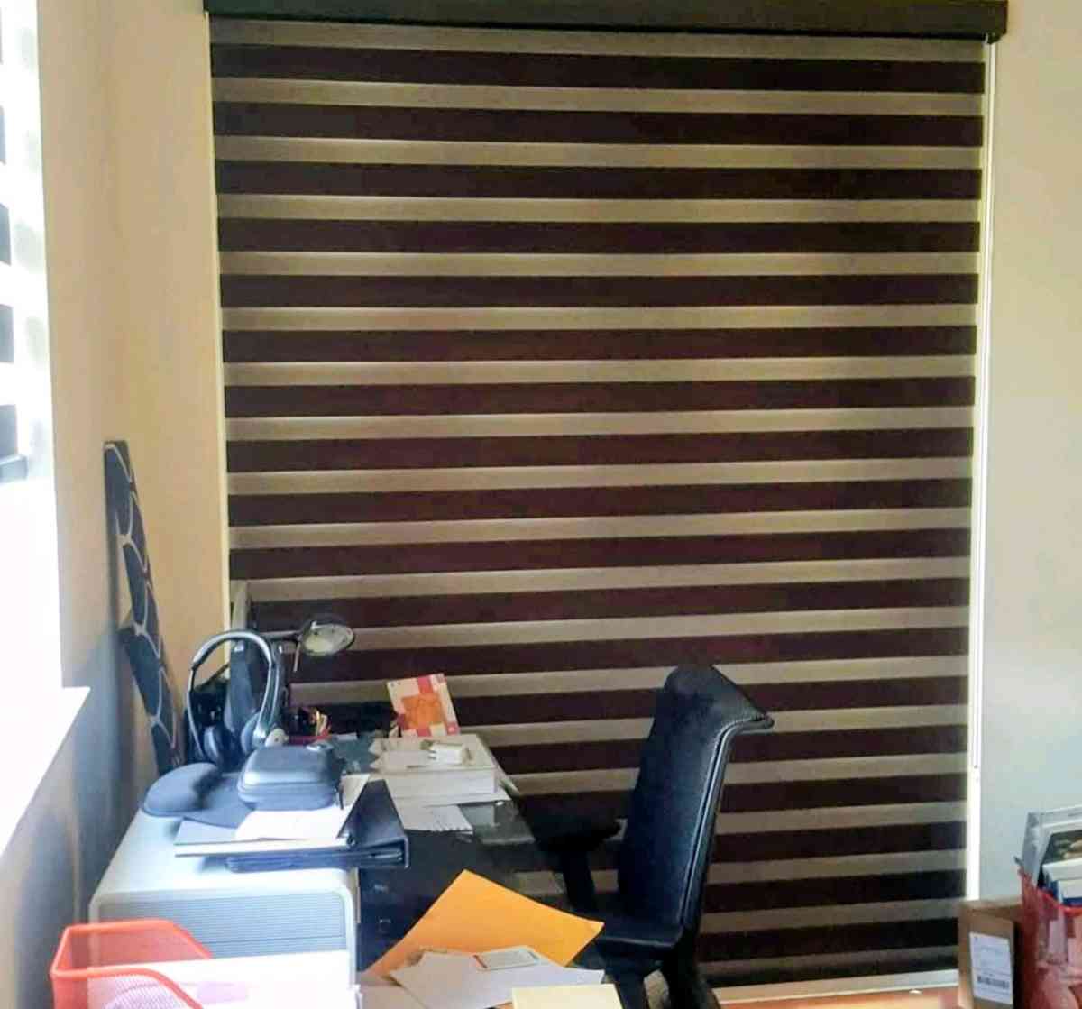 zebra Shades Roller shades screen o blackout blinds