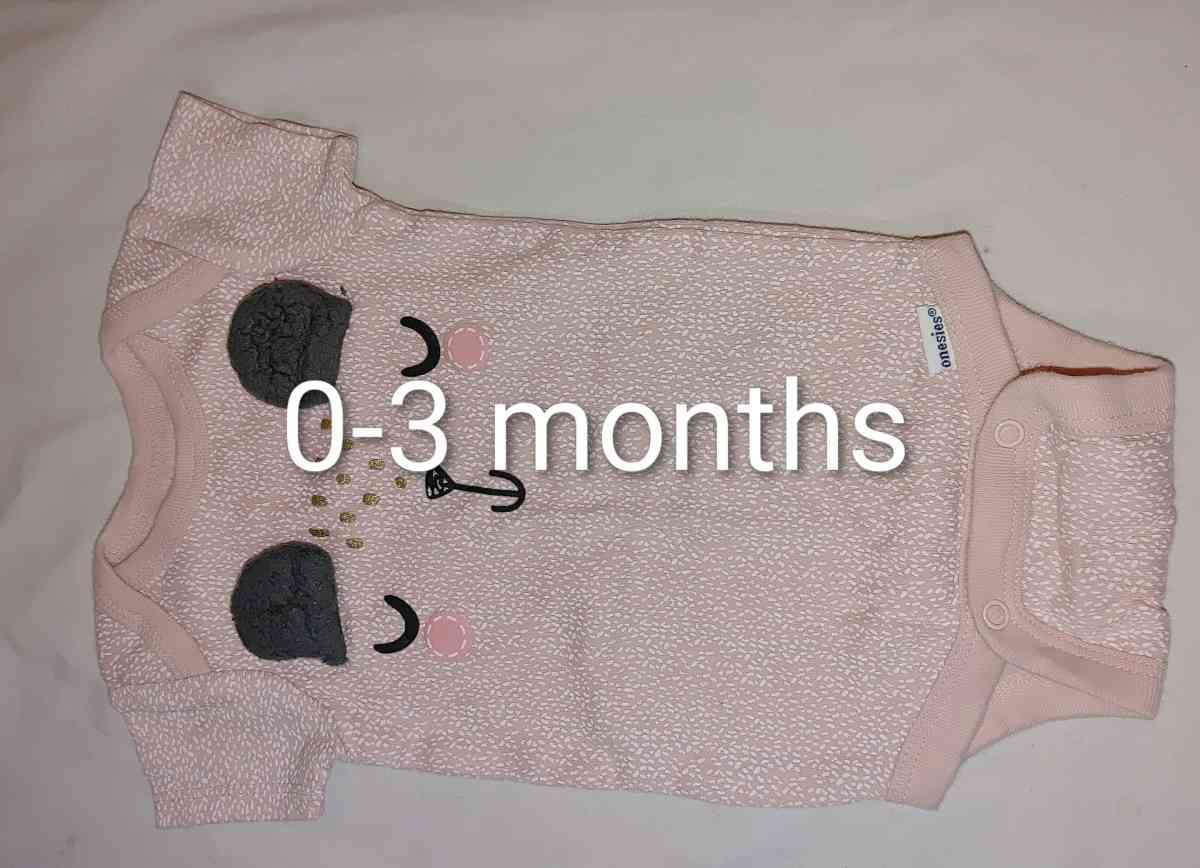 Carters infant girl onesies