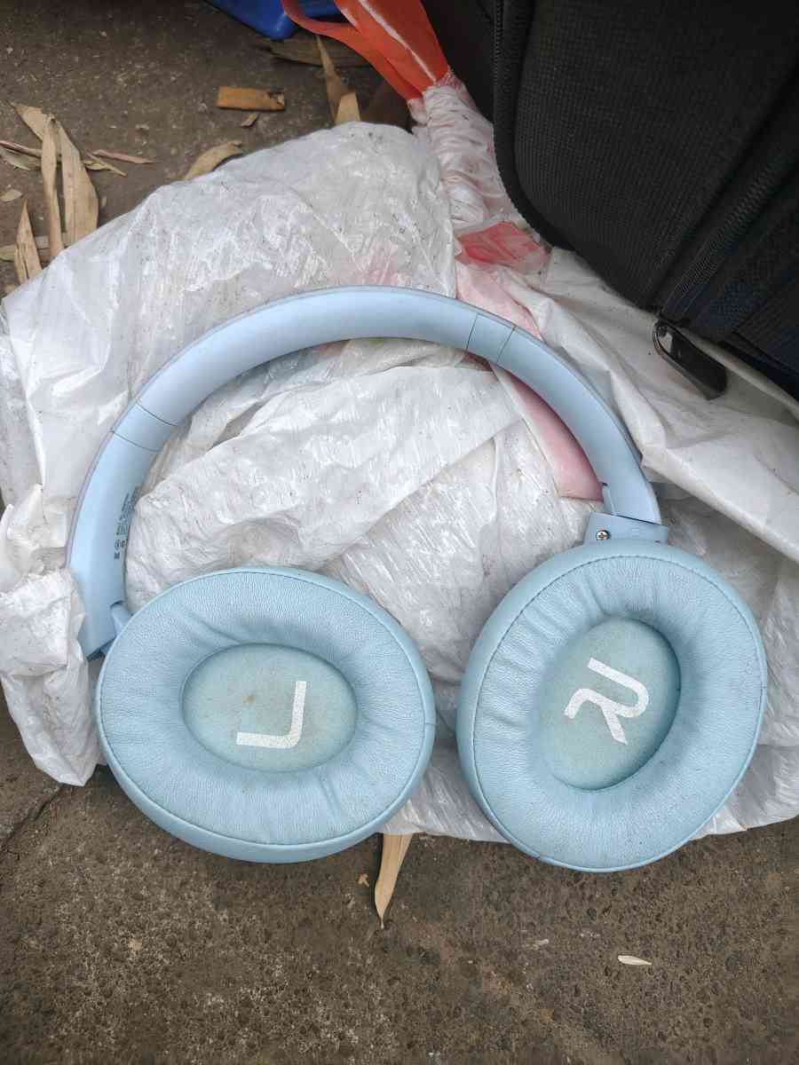 Blackstone Bluetooth Wireless Headphones