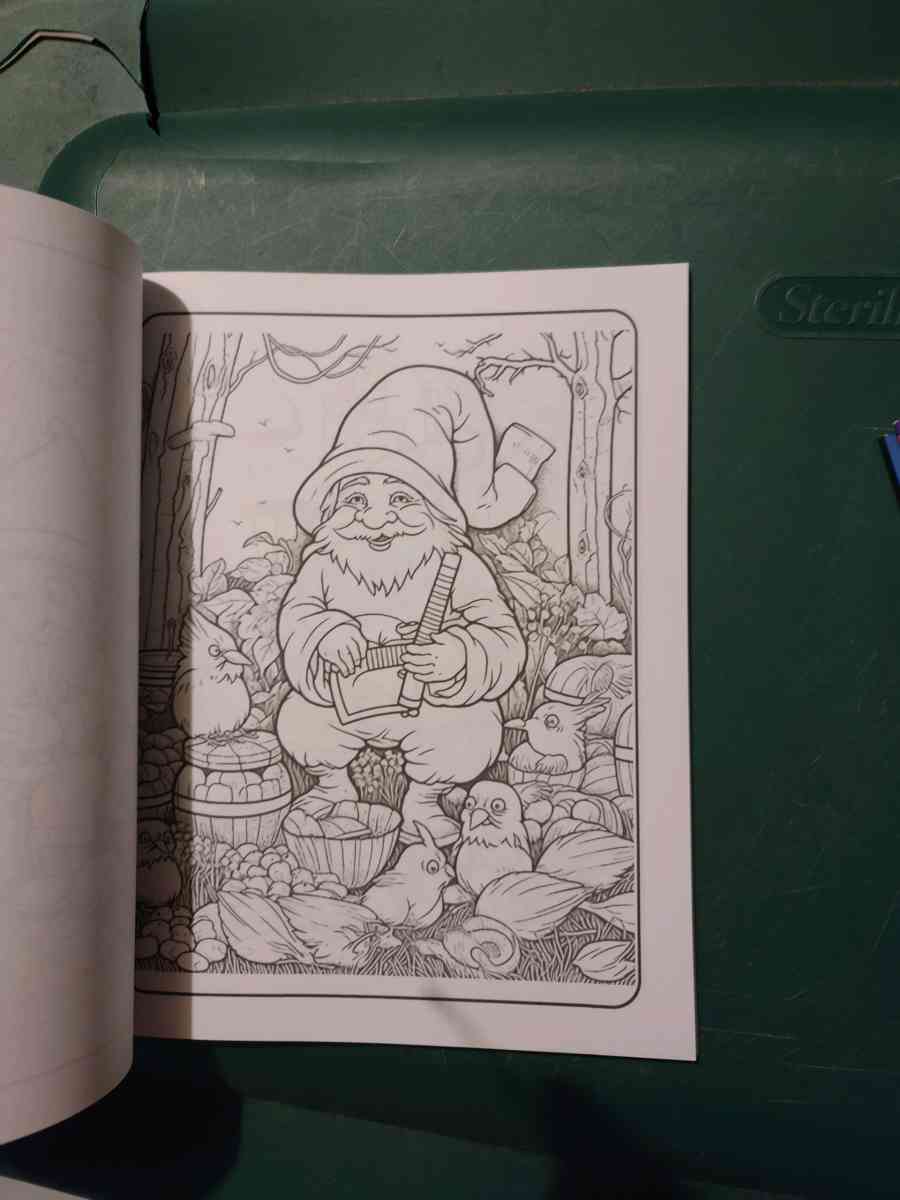 Autumn Gnomes Coloring book