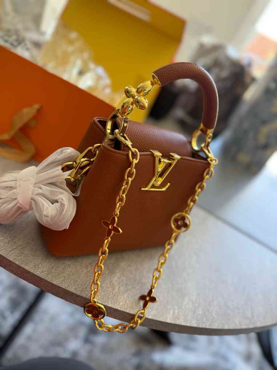 LV Purse