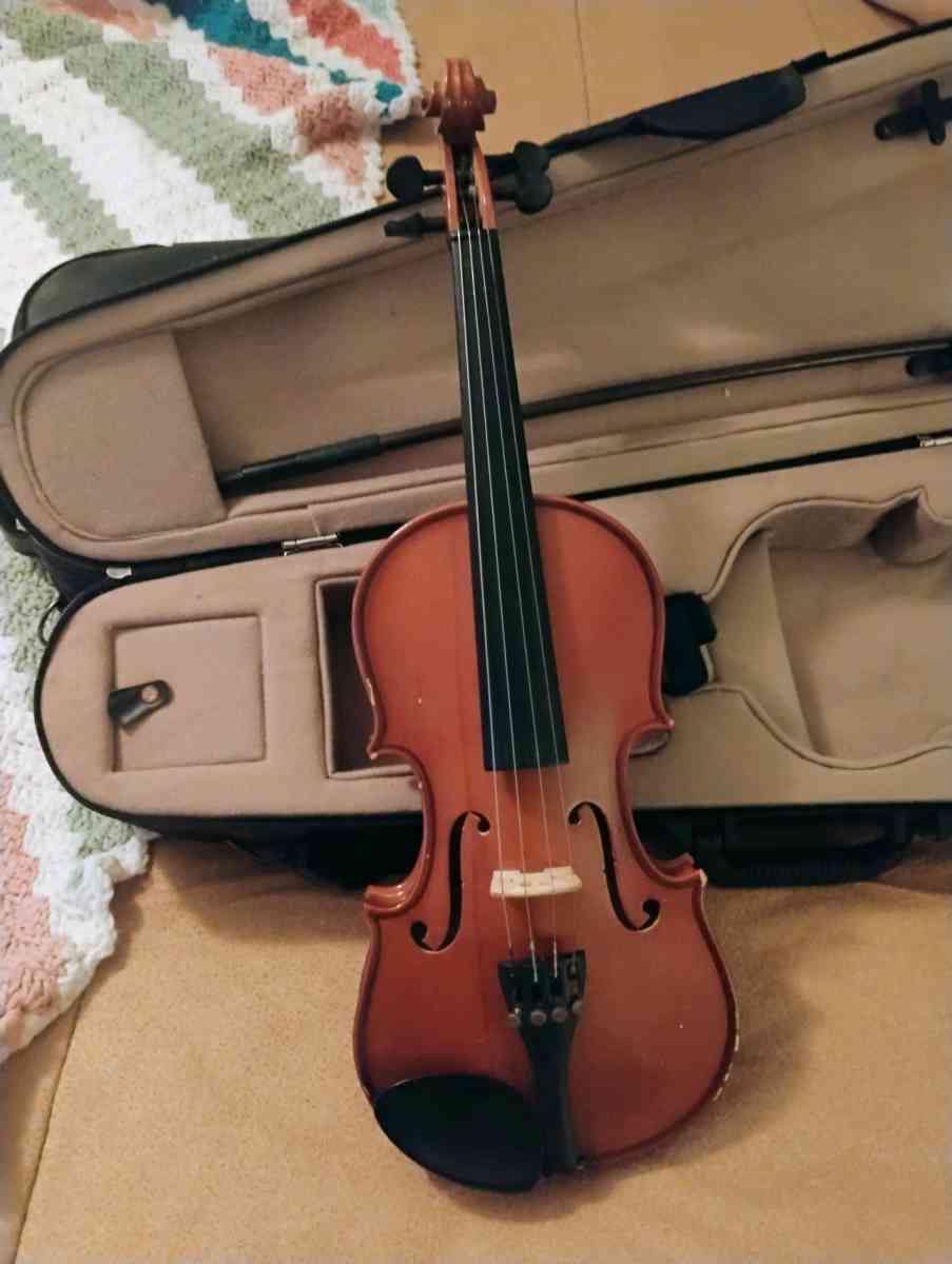 violins Cecilia an Palitino