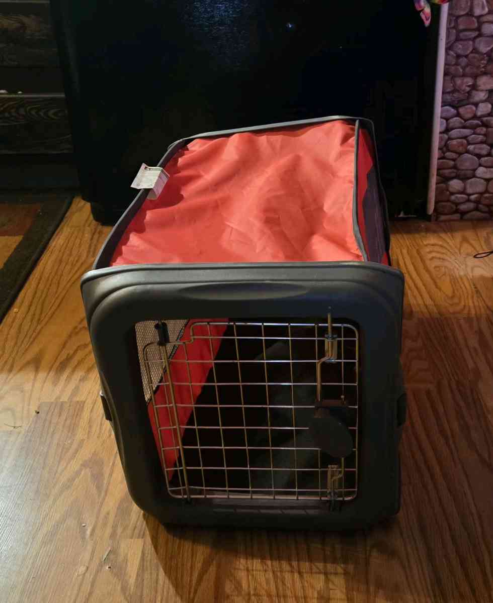 collapsible pet carrier