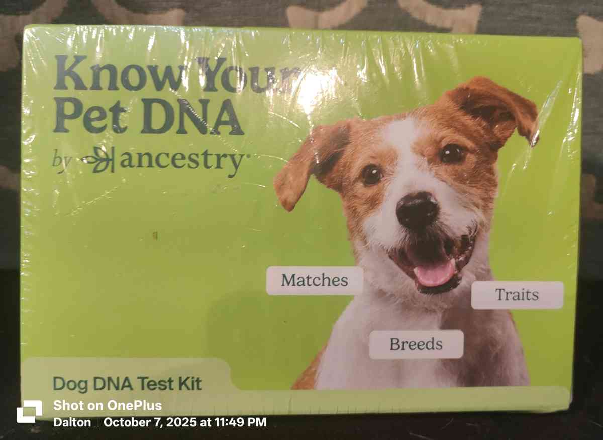ancestry DNA test for dog