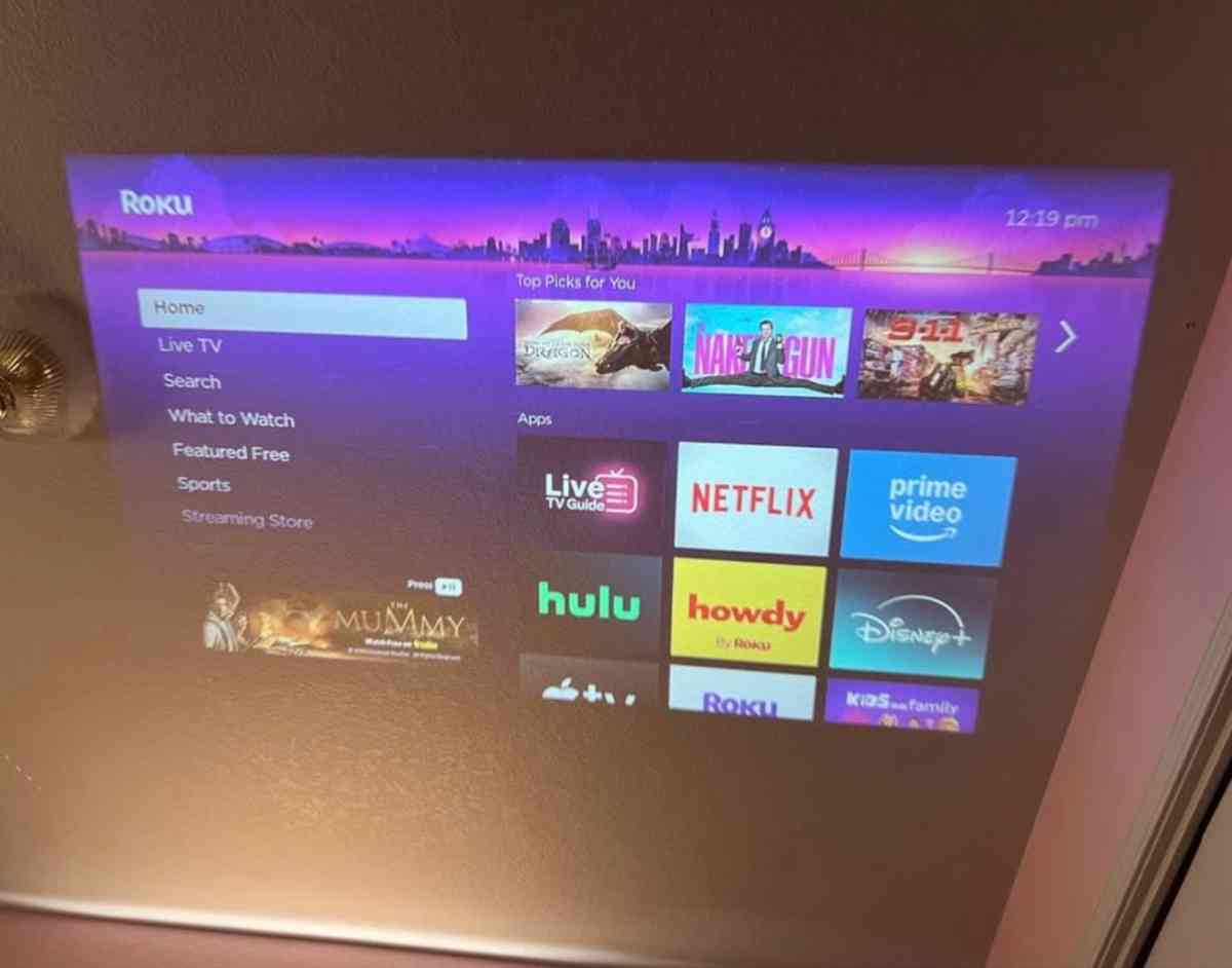 Roku projector