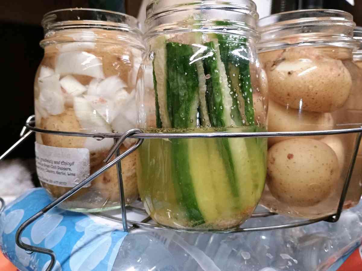 fresh organic old school made canned food