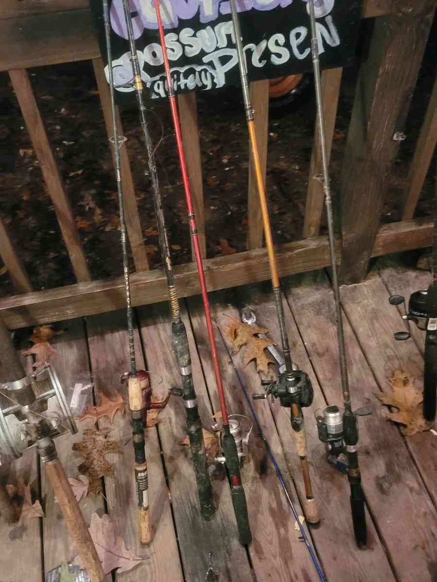 fishing rods and reels