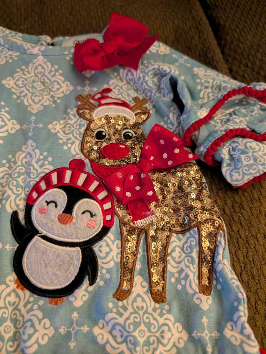 Winter Christmas baby dress