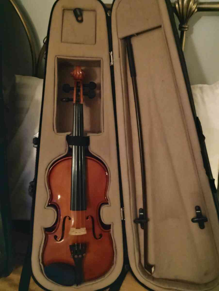 violins Cecilia an Palitino