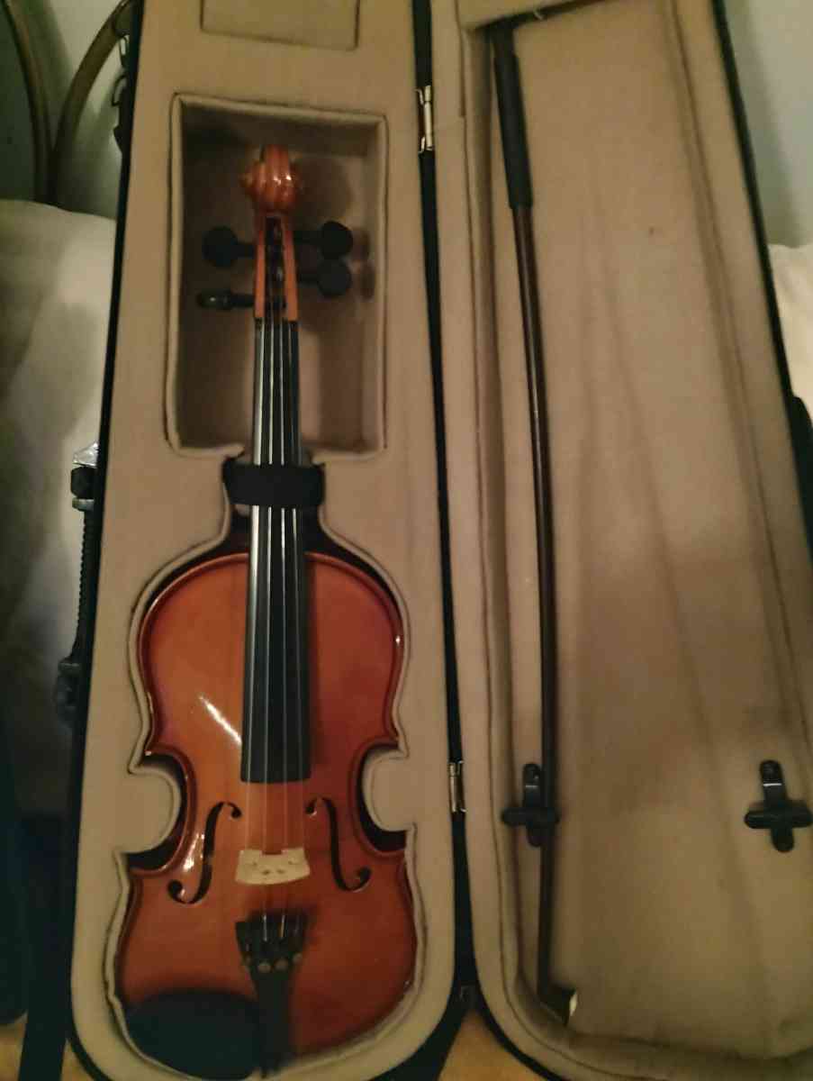 violins Cecilia an Palitino