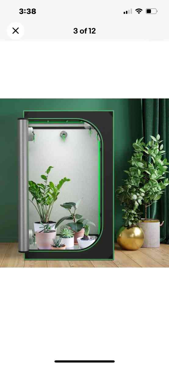 Grow Tent plants