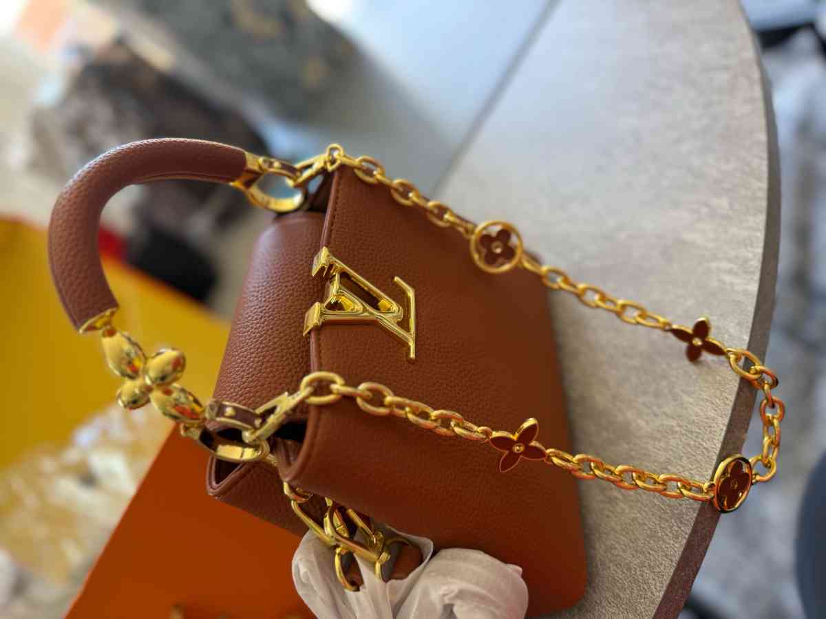 LV Purse