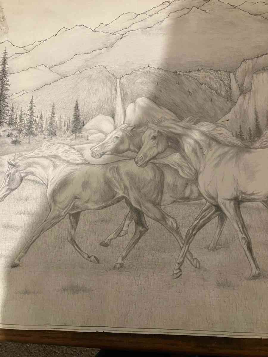 horses pencil art