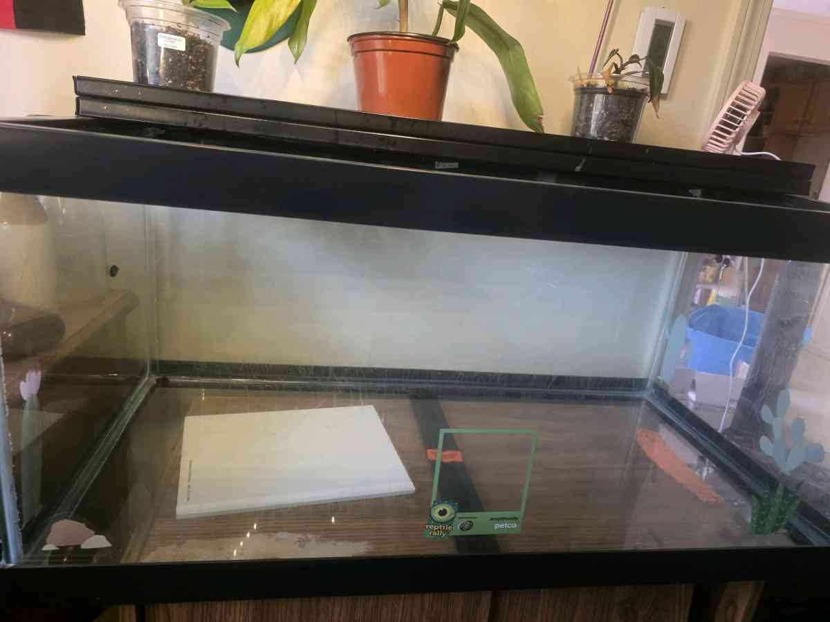 40 Gallon Reptile Tank