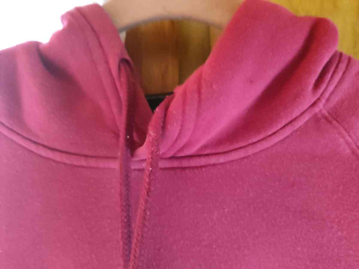 the north face hoodie womens large