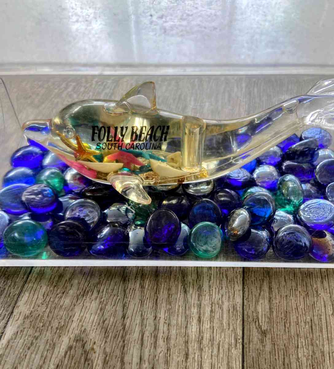 Folly Beach South Carolina Dolphin