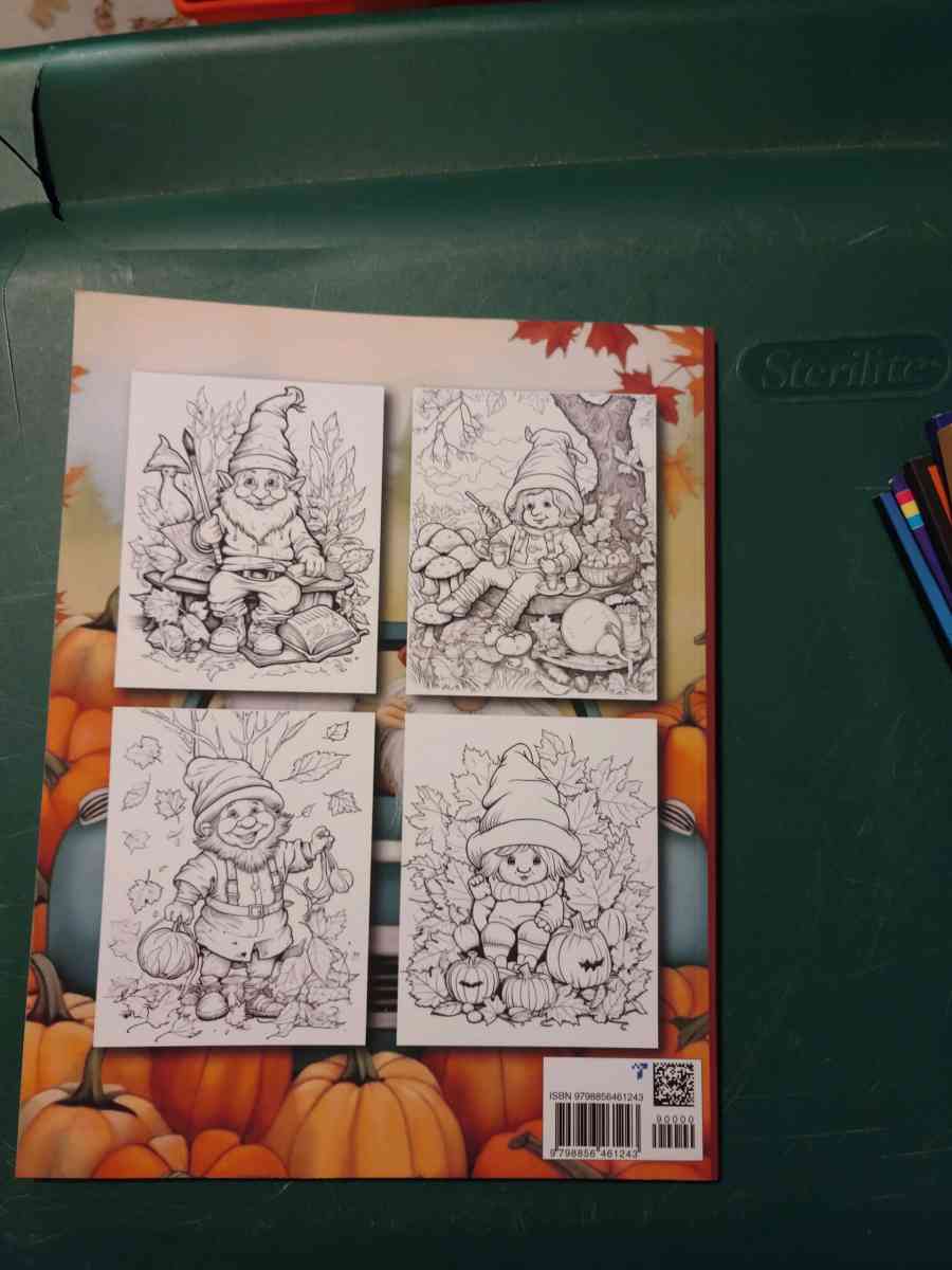 Autumn Gnomes Coloring book