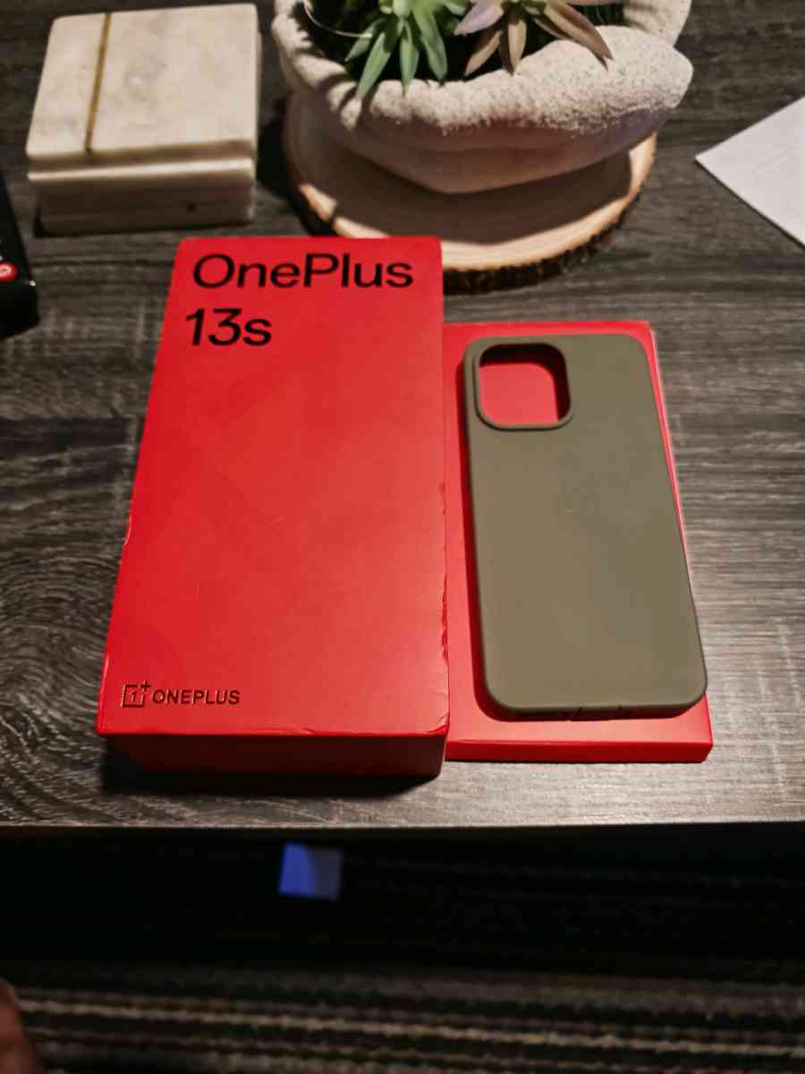 oneplus 13s