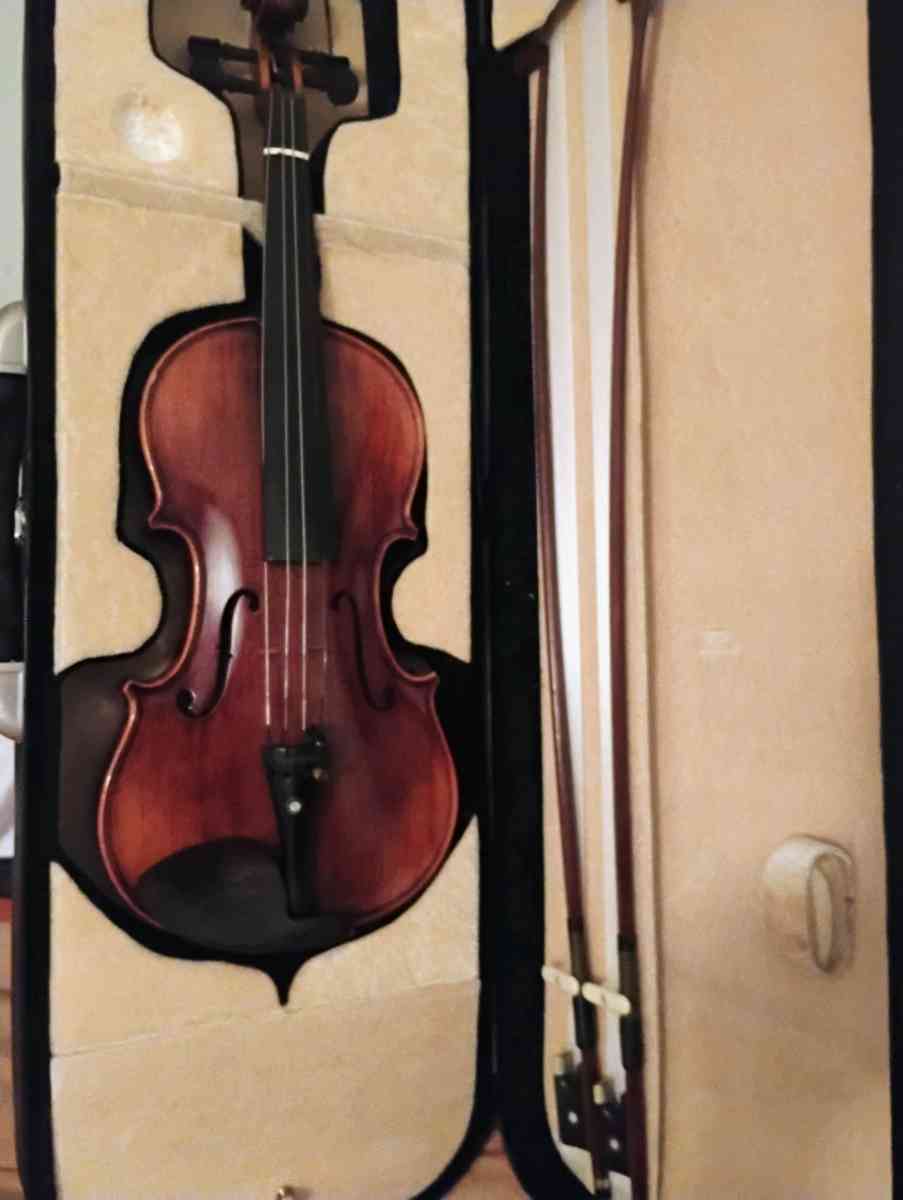 violins Cecilia an Palitino