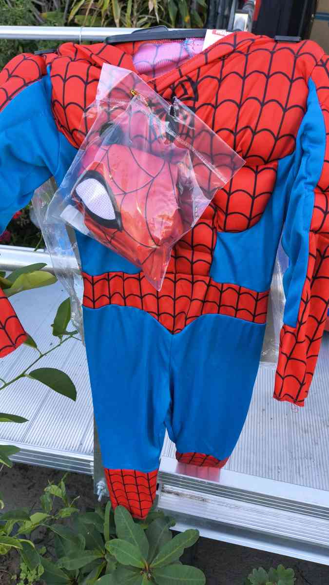 Spiderman costume