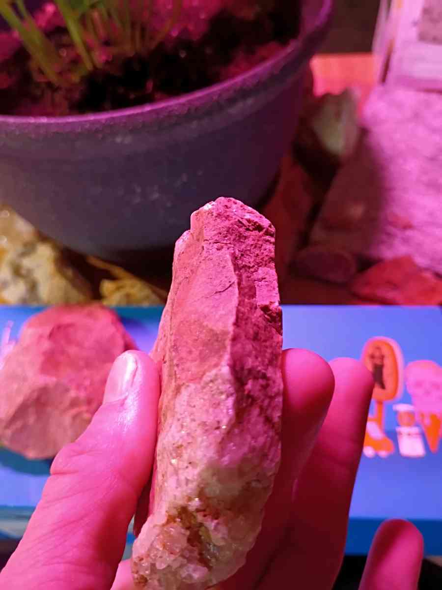 paliolithic native American stone axe heads