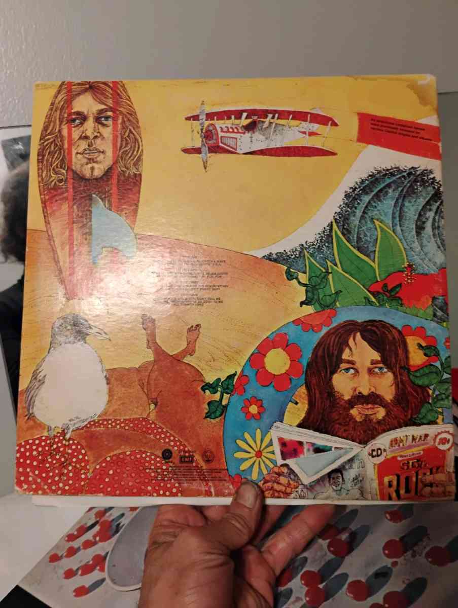 Old School record Beach boys endless Summer two record LP