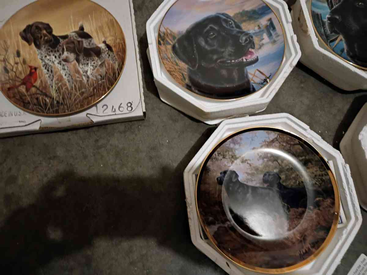 Franklin Mint and Bradford Exchange plates